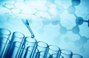 自主验收检测报告（鑫丽莱）